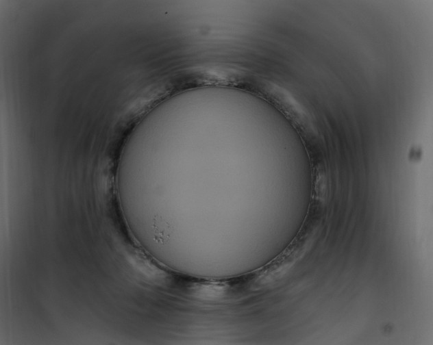 X0000101090318200807171854