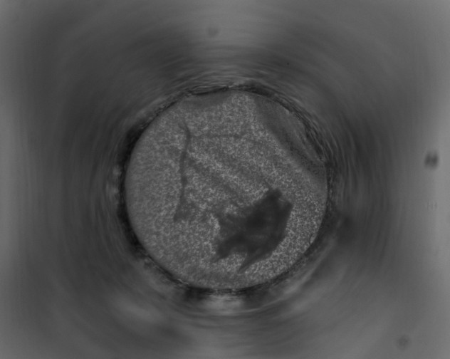 X0000101090319200807171854