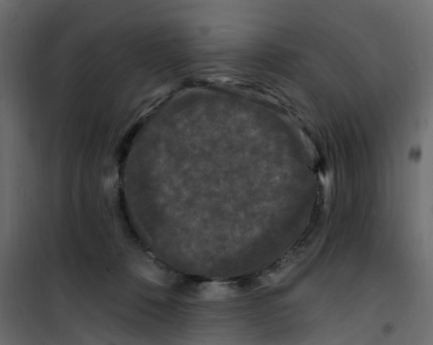 X0000101090320200807171854