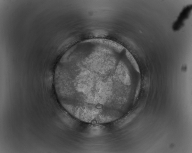 X0000101090321200807171854