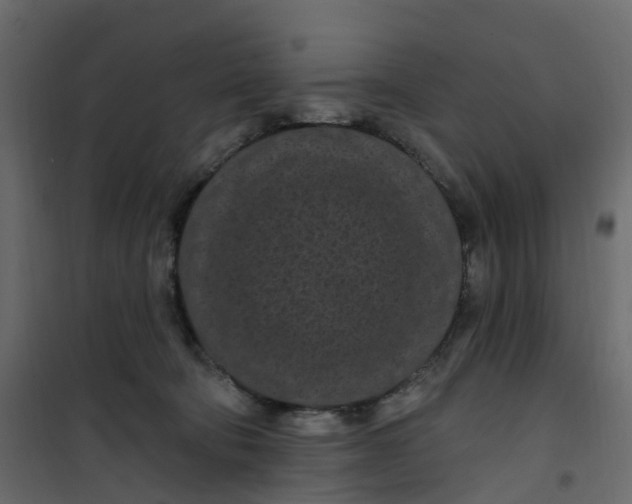 X0000101090322200807171854