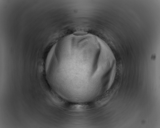 X0000101090323200807171854