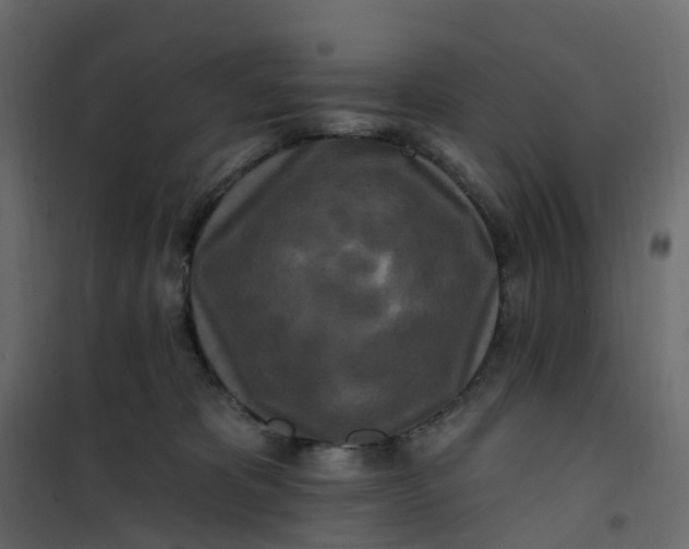 X0000101090325200807171854