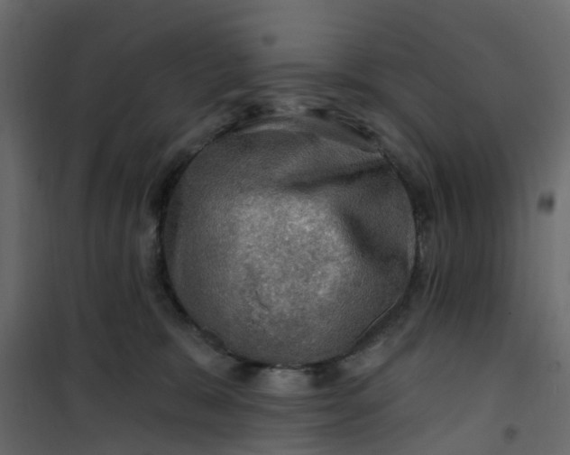 X0000101090327200807171854