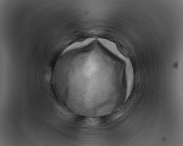 X0000101090328200807171854