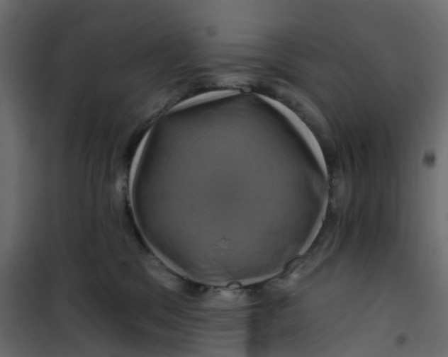 X0000101090329200807171854