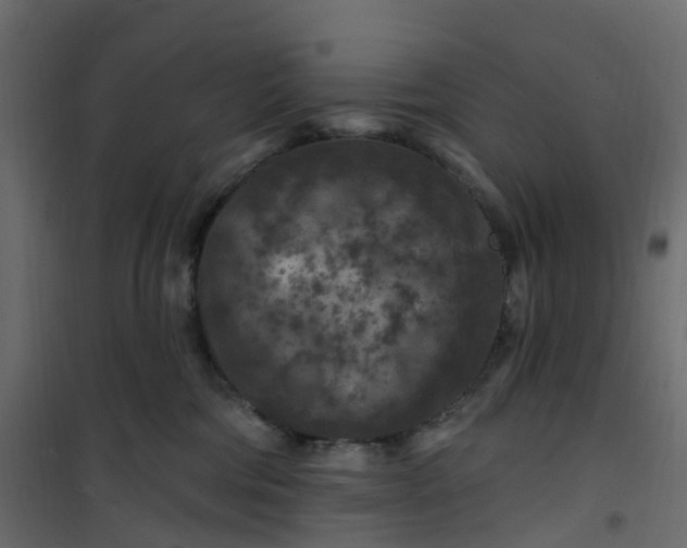 X0000101090330200807171854