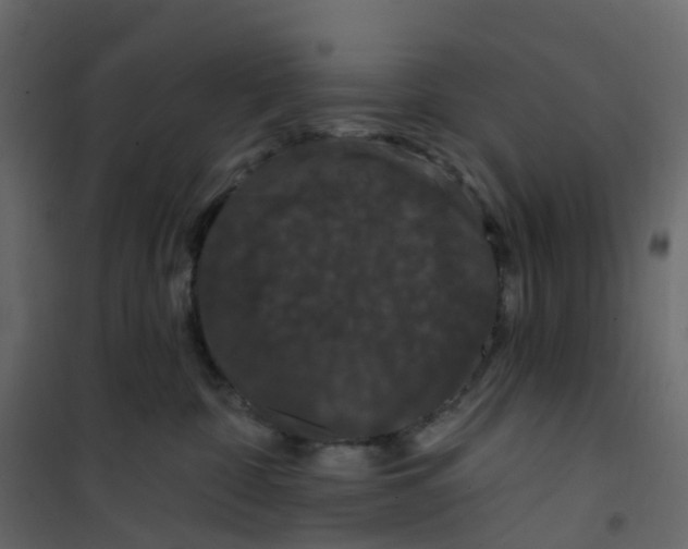 X0000101090332200807171854