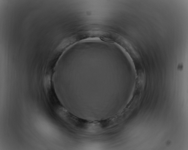 X0000101090333200807171854