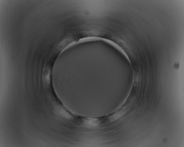 X0000101090334200807171854