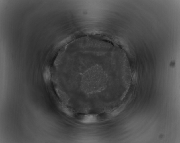 X0000101090335200807171854