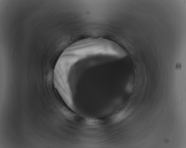 X0000101090336200807171854