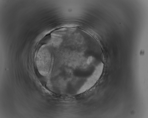 X0000101090337200807171853