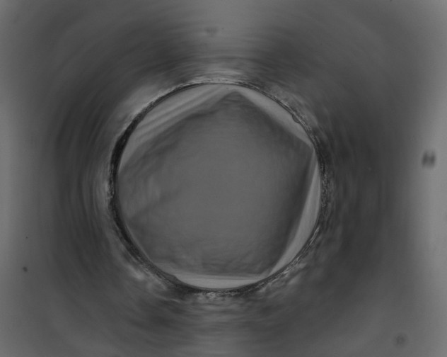 X0000101090338200807171853