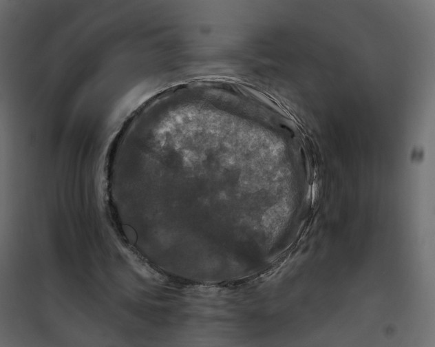 X0000101090339200807171853