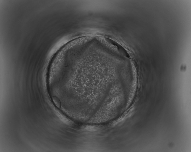 X0000101090341200807171853