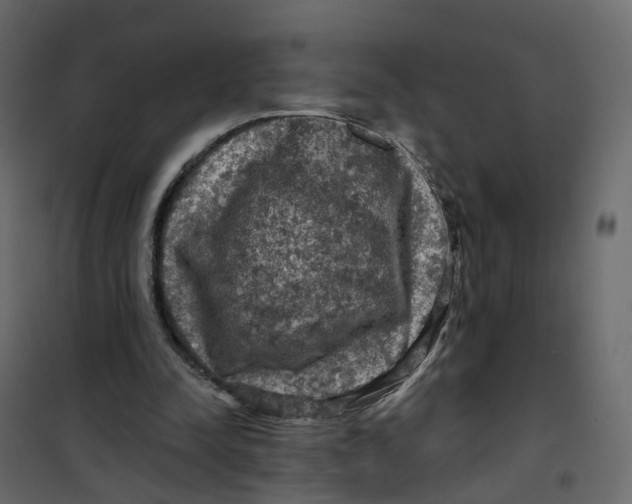 X0000101090342200807171853