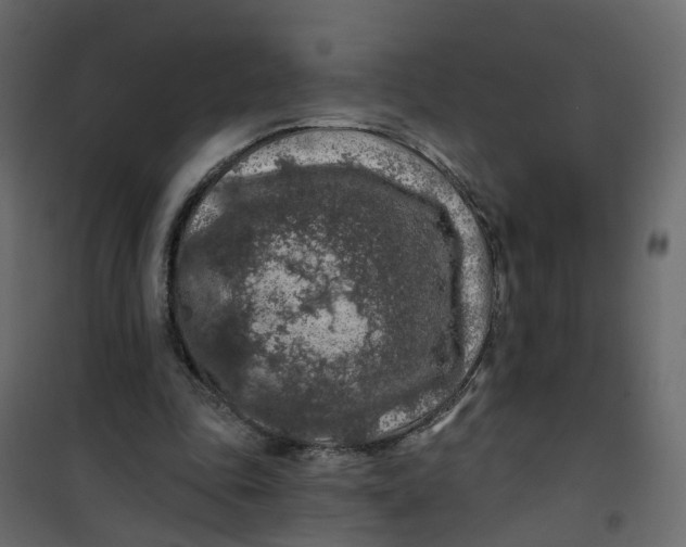 X0000101090343200807171853