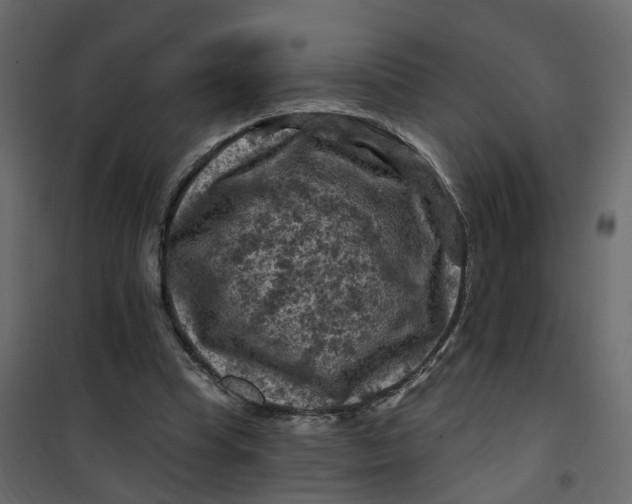 X0000101090345200807171853