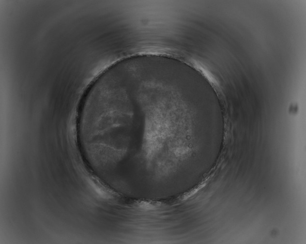 X0000101090346200807171853