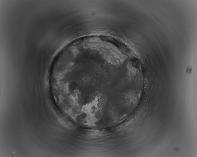 X0000101090347200807171853