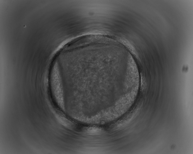 X0000101090348200807171853