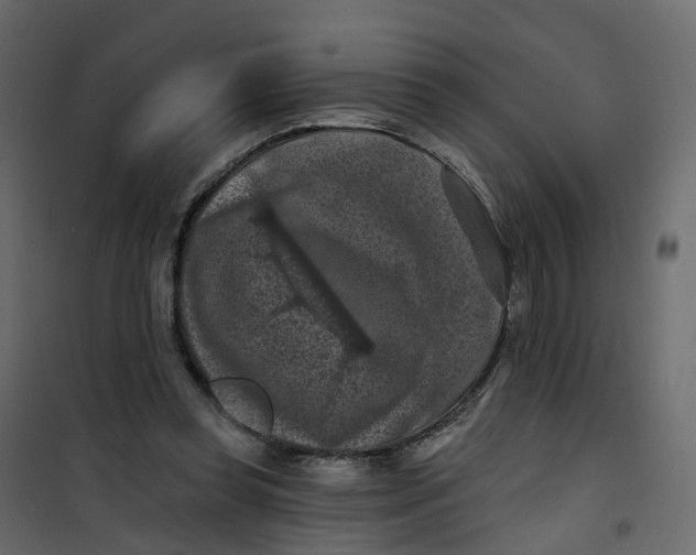 X0000101090349200807171853