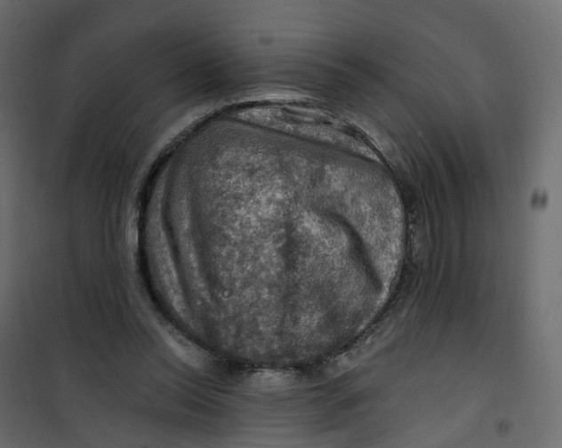 X0000101090350200807171853