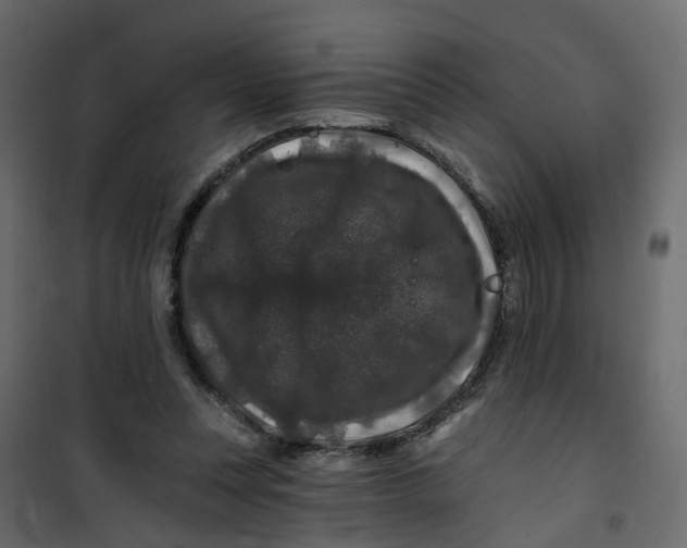 X0000101090351200807171853