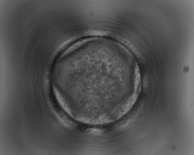 X0000101090352200807171853