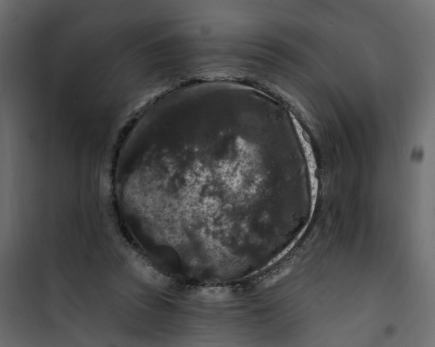 X0000101090353200807171853