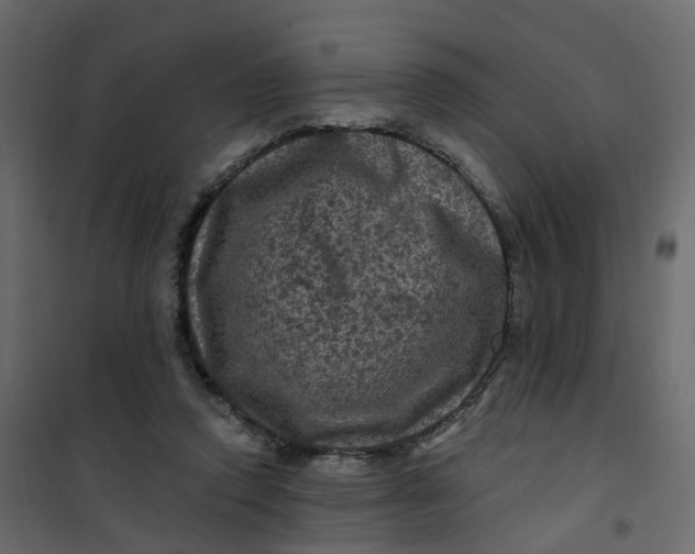 X0000101090354200807171853