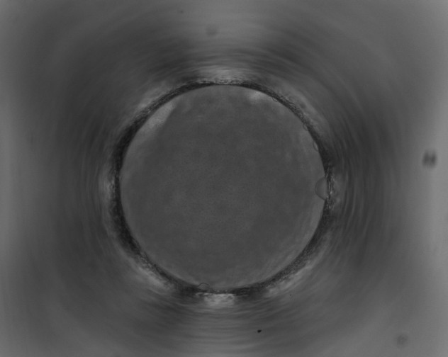 X0000101090355200807171853