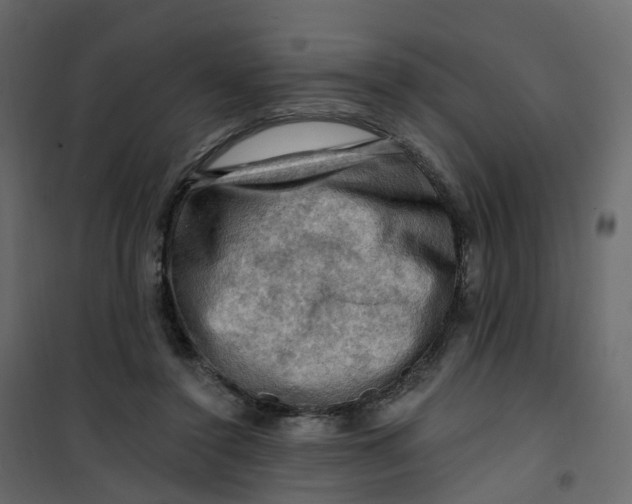 X0000101090356200807171853