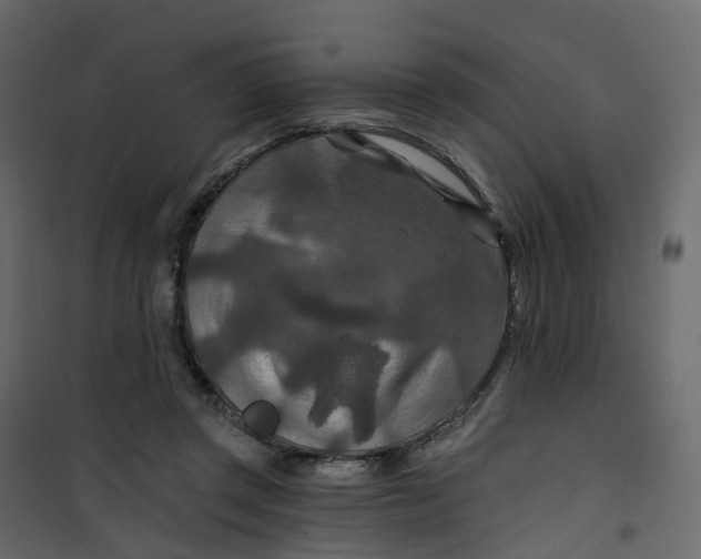 X0000101090357200807171853