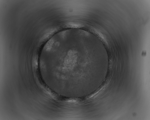 X0000101090358200807171853