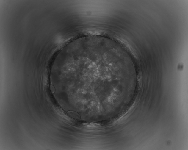 X0000101090359200807171853