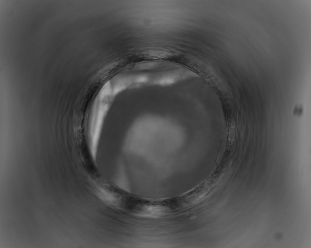 X0000101090360200807171853