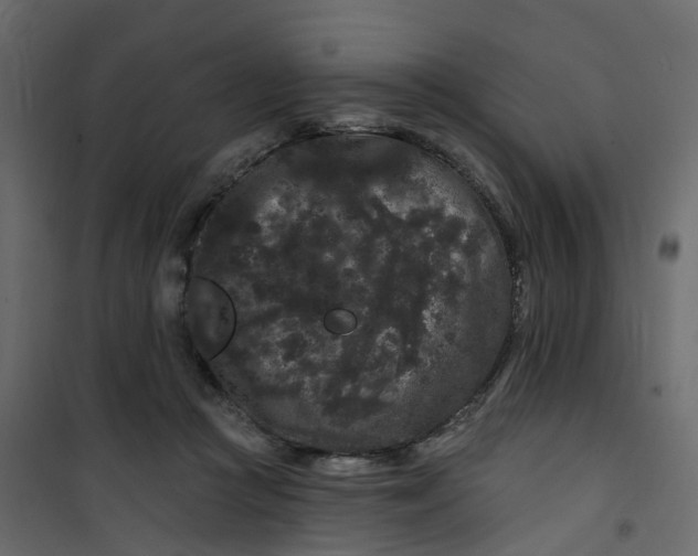 X0000101090361200807171853