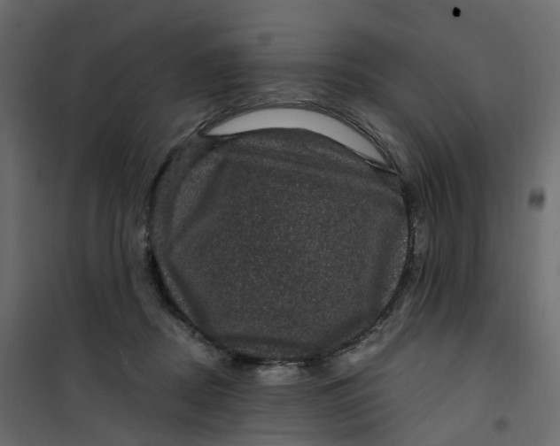 X0000101090362200807171853