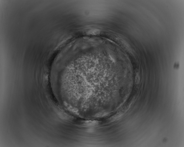 X0000101090363200807171853