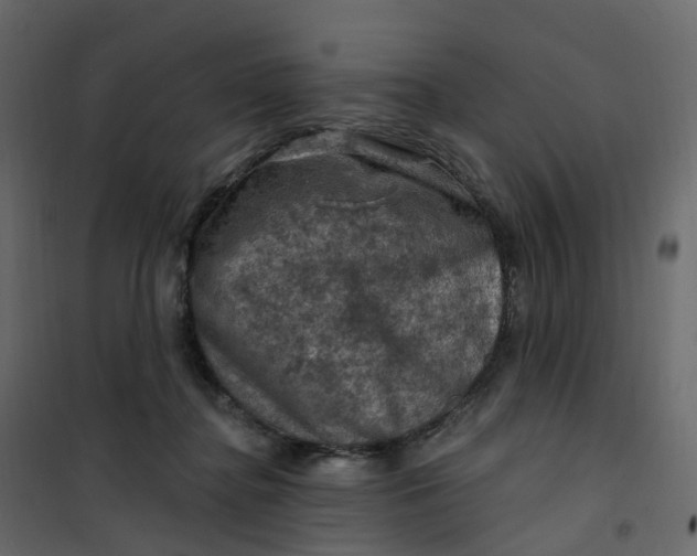 X0000101090364200807171854