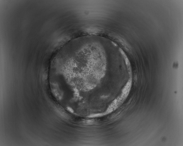 X0000101090365200807171854