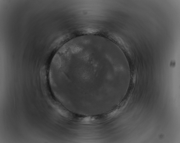 X0000101090366200807171854