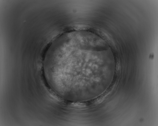 X0000101090367200807171854