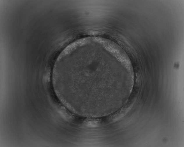 X0000101090368200807171854