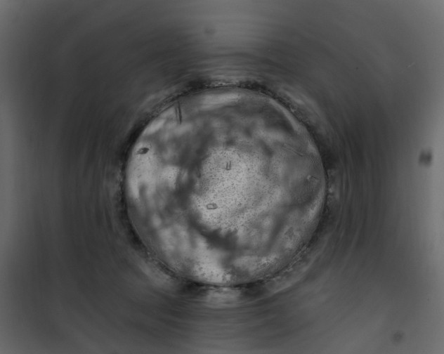 X0000101090369200807171854