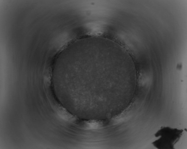 X0000101090370200807171854