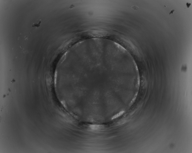 X0000101090371200807171854