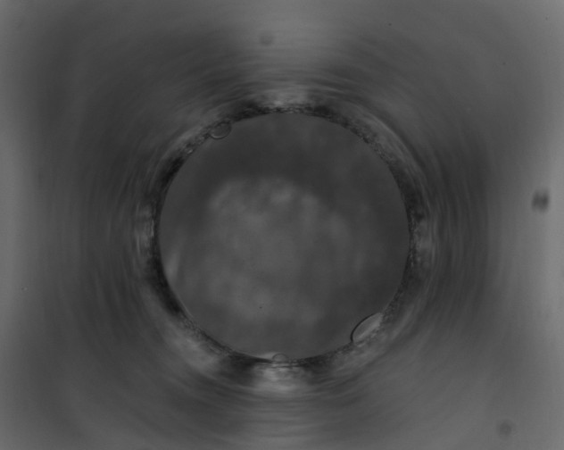 X0000101090372200807171854